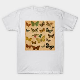 Butterflies Gold T-Shirt